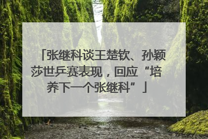 张继科谈王楚钦、孙颖莎世乒赛表现，回应“培养下一个张继科”