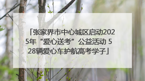 张家界市中心城区启动2025年“爱心送考”公益活动 528辆爱心车护航高考学子