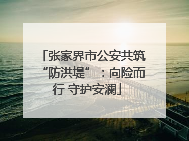 张家界市公安共筑“防洪堤”：向险而行 守护安澜