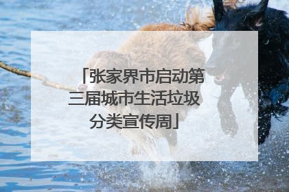 张家界市启动第三届城市生活垃圾分类宣传周