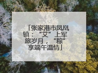 张家港市凤凰镇：“艾”上军旅岁月，“粽”享端午温情