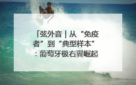 弦外音｜从“免疫者”到“典型样本”：葡萄牙极右翼崛起背后的欧洲困局