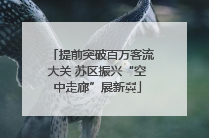 提前突破百万客流大关 苏区振兴“空中走廊”展新翼