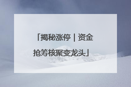 揭秘涨停｜资金抢筹核聚变龙头