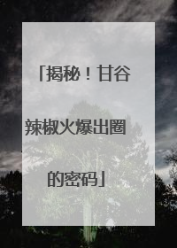 揭秘！甘谷辣椒火爆出圈的密码