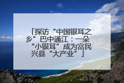 探访“中国银耳之乡”巴中通江：一朵“小银耳”成为富民兴县“大产业”