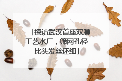 探访武汉首座双膜工艺水厂，筛网孔径比头发丝还细