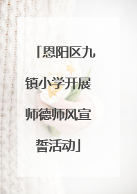 恩阳区九镇小学开展师德师风宣誓活动