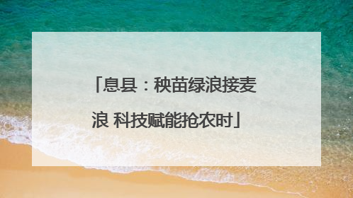 息县：秧苗绿浪接麦浪 科技赋能抢农时