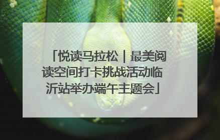 悦读马拉松｜最美阅读空间打卡挑战活动临沂站举办端午主题会