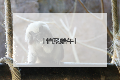 情系端午