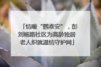 情暖“鹤耋安”，彭刘杨路社区为高龄独居老人织就温情守护网