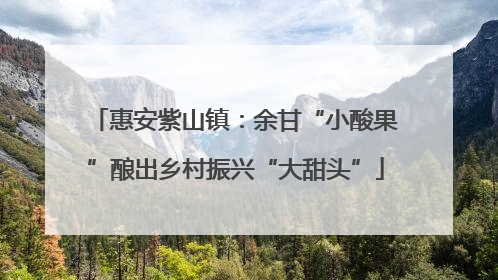 惠安紫山镇：余甘“小酸果”酿出乡村振兴“大甜头”