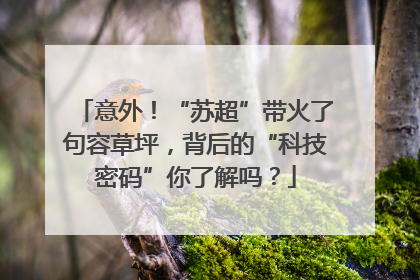 意外！“苏超”带火了句容草坪，背后的“科技密码”你了解吗？
