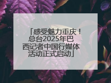 感受魅力重庆！总台2025年巴西记者中国行媒体活动正式启动