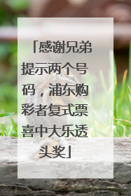 感谢兄弟提示两个号码，浦东购彩者复式票喜中大乐透头奖