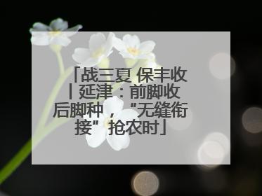 战三夏 保丰收丨延津：前脚收 后脚种，“无缝衔接”抢农时