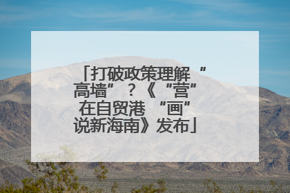 打破政策理解“高墙”？《“营”在自贸港 “画”说新海南》发布