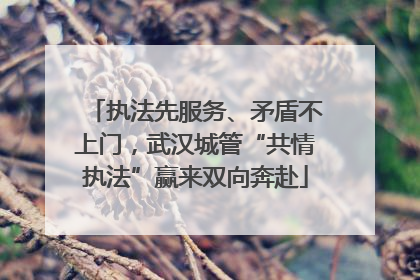 执法先服务、矛盾不上门，武汉城管“共情执法”赢来双向奔赴