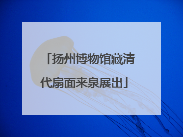 扬州博物馆藏清代扇面来泉展出
