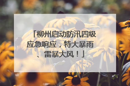 柳州启动防汛四级应急响应，特大暴雨、雷暴大风！