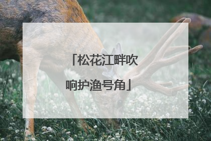 松花江畔吹响护渔号角
