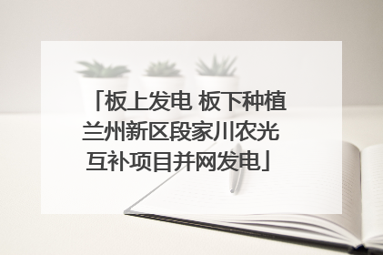 板上发电 板下种植 兰州新区段家川农光互补项目并网发电