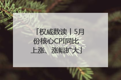 权威数读丨5月份核心CPI同比上涨、涨幅扩大