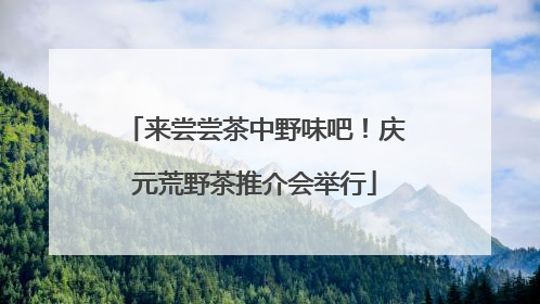来尝尝茶中野味吧！庆元荒野茶推介会举行
