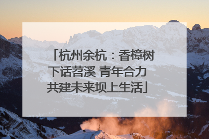 杭州余杭：香樟树下话苕溪 青年合力共建未来坝上生活