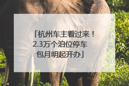 杭州车主看过来！2.3万个泊位停车包月明起开办