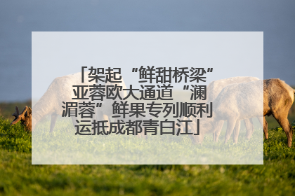 架起“鲜甜桥梁” 亚蓉欧大通道“澜湄蓉”鲜果专列顺利运抵成都青白江