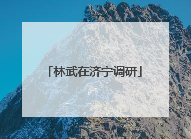 林武在济宁调研