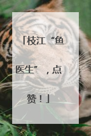 枝江“鱼医生”，点赞！