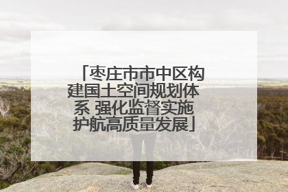 枣庄市市中区构建国土空间规划体系 强化监督实施护航高质量发展