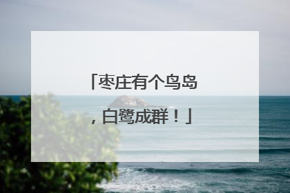 枣庄有个鸟岛，白鹭成群！