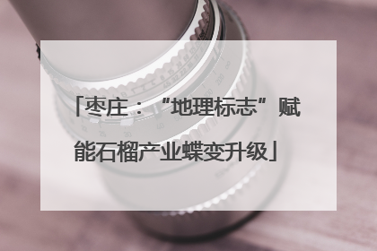 枣庄：“地理标志”赋能石榴产业蝶变升级