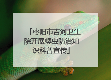 枣阳市吉河卫生院开展蜱虫防治知识科普宣传