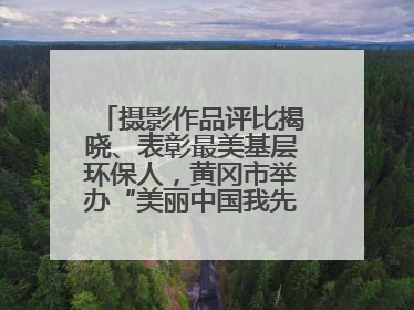 摄影作品评比揭晓、表彰最美基层环保人，黄冈市举办“美丽中国我先行”六五环境日主题宣传活动