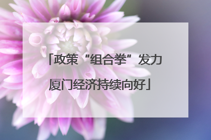 政策“组合拳”发力 厦门经济持续向好