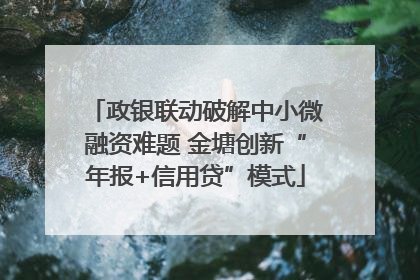政银联动破解中小微融资难题 金塘创新“年报+信用贷”模式