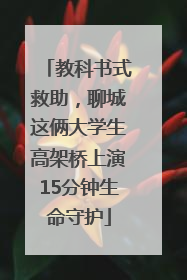 教科书式救助，聊城这俩大学生高架桥上演15分钟生命守护