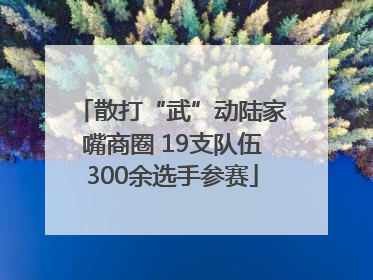 散打“武”动陆家嘴商圈 19支队伍300余选手参赛