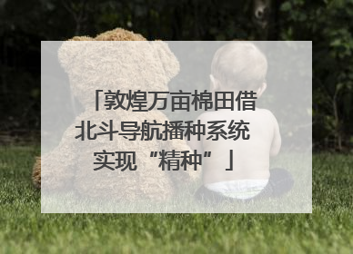敦煌万亩棉田借北斗导航播种系统实现“精种”