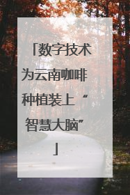 数字技术为云南咖啡种植装上“智慧大脑”