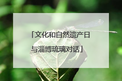 文化和自然遗产日与淄博琉璃对话