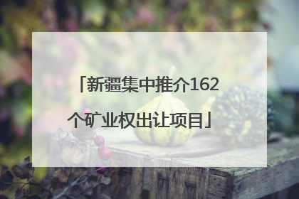 新疆集中推介162个矿业权出让项目