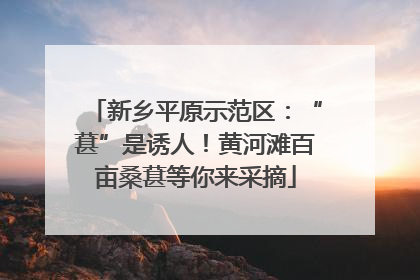 新乡平原示范区：“葚”是诱人！黄河滩百亩桑葚等你来采摘