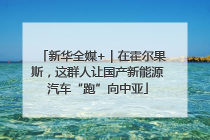 新华全媒+｜在霍尔果斯，这群人让国产新能源汽车“跑”向中亚