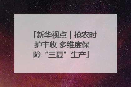 新华视点｜抢农时 护丰收 多维度保障“三夏”生产